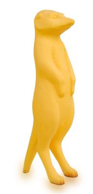 Suricato