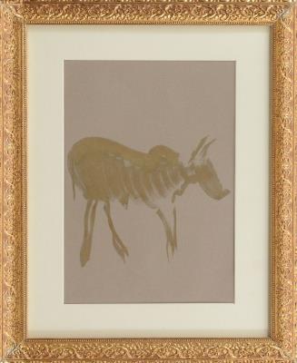 Drawing to catch (animal), 2008