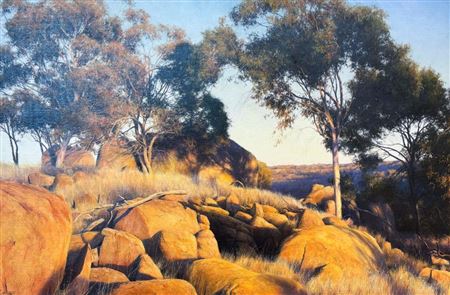 Summer Morning Through Wandoo and York Gums