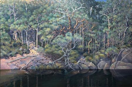 Tranquility Fernhook Falls Walpole