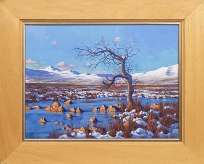 Rannoch Moor