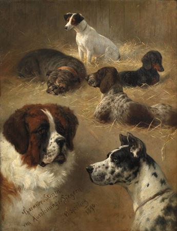 Dog portraits