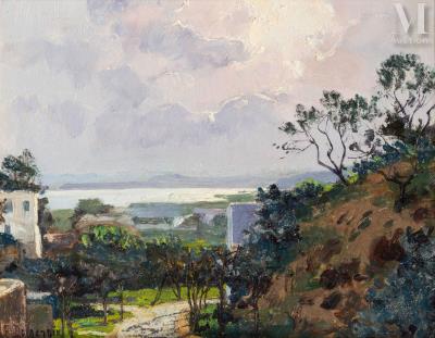 Sidi Bou Said, view of the Tunis lake
