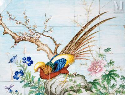 Golden pheasant