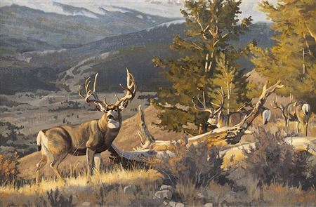 Mule Deer by David Charles Wade - Auction record, sale price, and art valuation. Compare with similar artists and explore comparable artworks.