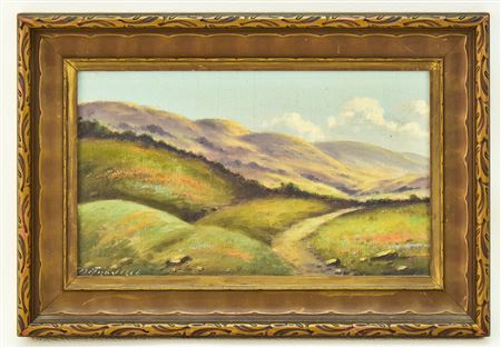 MARIN COUNTY LANDSCAPE