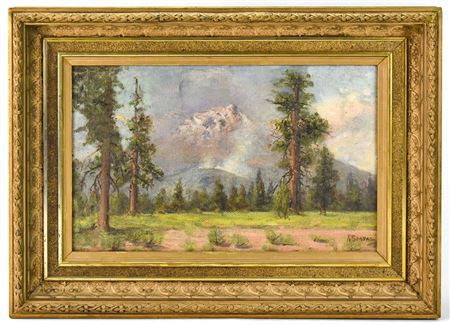 'MT. SHASTA FOREST FIRE'