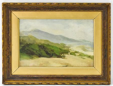 COASTAL LANDSCAPE