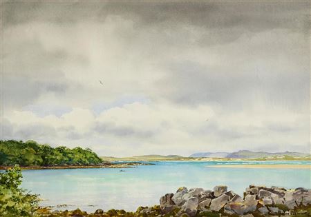 Ards, Co. Donegal (1981)