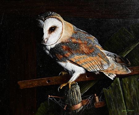 Barn Owl By Moonlight