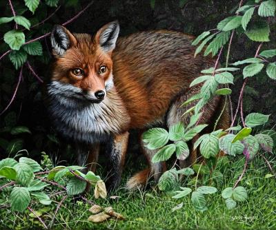 Mr. Fox