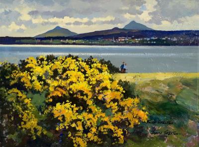 Connemara Landscape