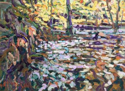 The Upper Pool, Glenshelane, Cappoquin