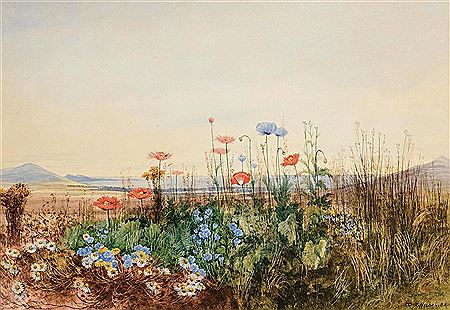 Poppies, Cornflowers and Daisies, with Coastal Landscape