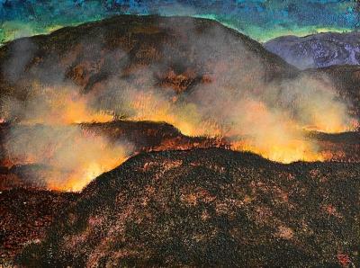Land Burn Series (2002)