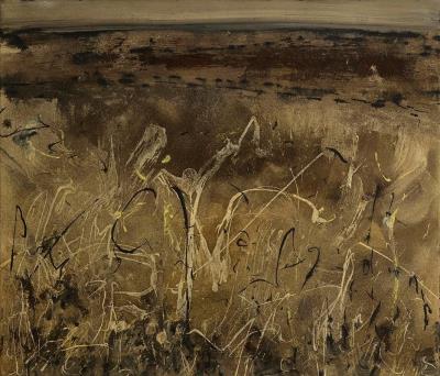 Irish Bog Scene