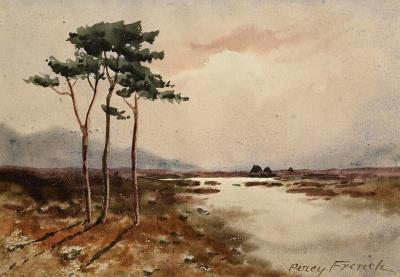 Connemara Bogland