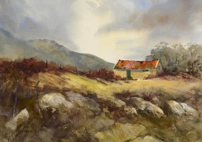 Connemara Sky