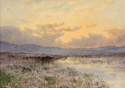 Sunset Over a Bog