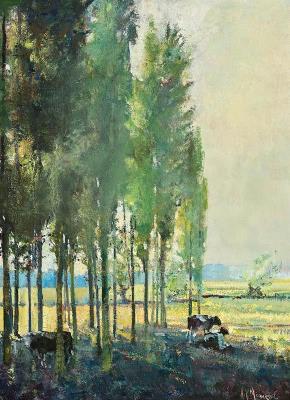 Poplars in the Evening Light