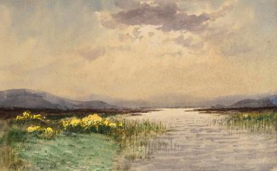Bog Landscape with Yellow Gorse