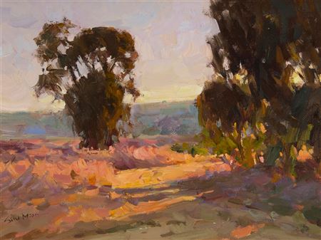 Trees in a landscape