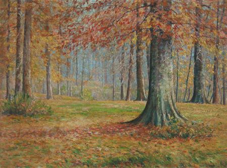 Forest in autumn