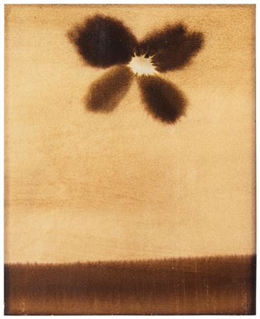 Untitled, for "Parkett" vol 38, 1993