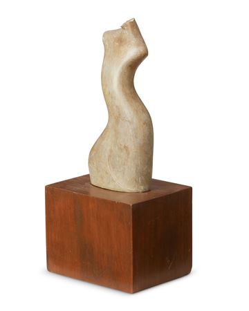 Torso