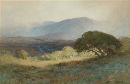 Rising mist in a valley with oak trees and a cottage