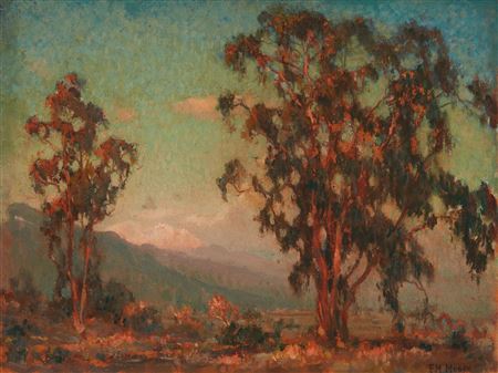 Eucalyptus landscape at dusk
