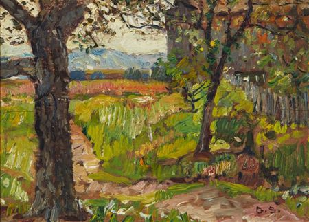 Path in a California landscape