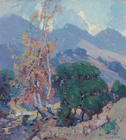 "Topanga Canyon, Hillside landscape"