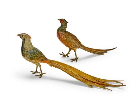 Pair of pheasants