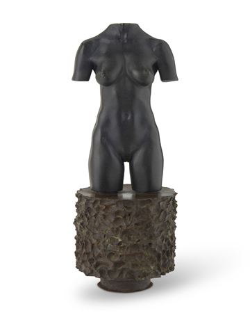 MOCA Torso