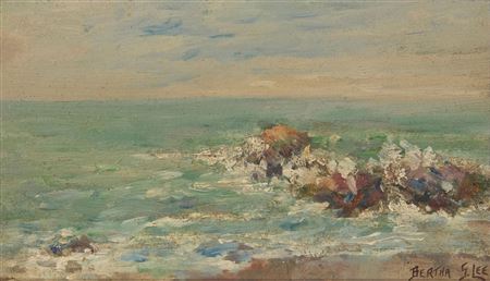 Rocky coastal landscape
