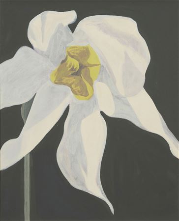 "Narcissus III," 1971