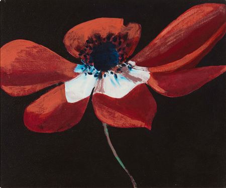 Red flower, 1971