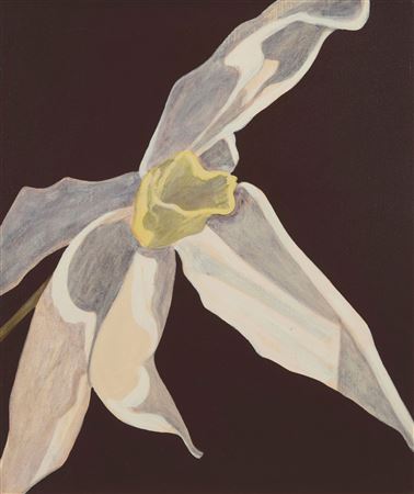 "Narcissus II," 1971