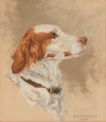 Portrait of a Spaniel
