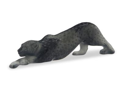 Zeila Panther