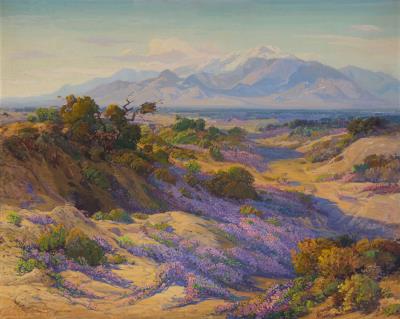 Verbena Time on the Desert by Fred Grayson Sayre - Auction record, sale price, and art valuation. Compare with similar artists and explore comparable artworks.