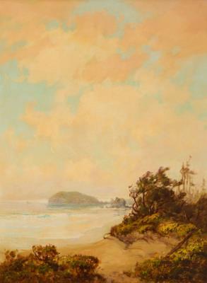 Coastal landscape