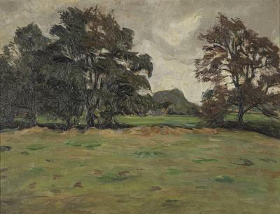 Meadow landscape with trees by Bernhard Pankok - Auction record, sale price, and art valuation. Compare with similar artists and explore comparable artworks.