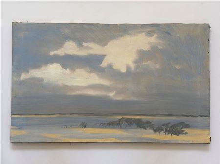 Marsh with Clouds