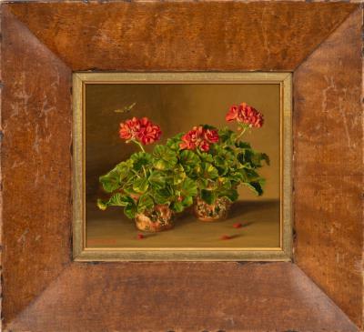 Still Life of Geraniums & Bee