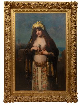Portrait of a Beautiful Lady