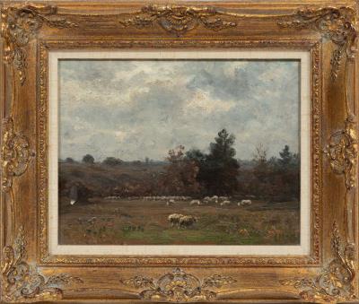 Sheep Grazing