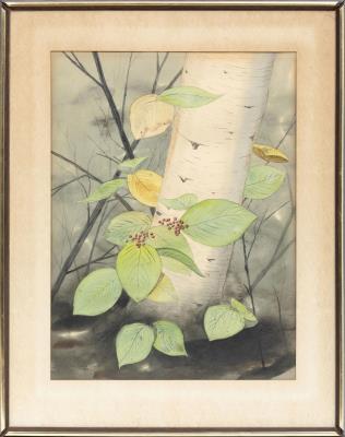 Tree Trunk with Vine
