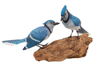 Blue Jays